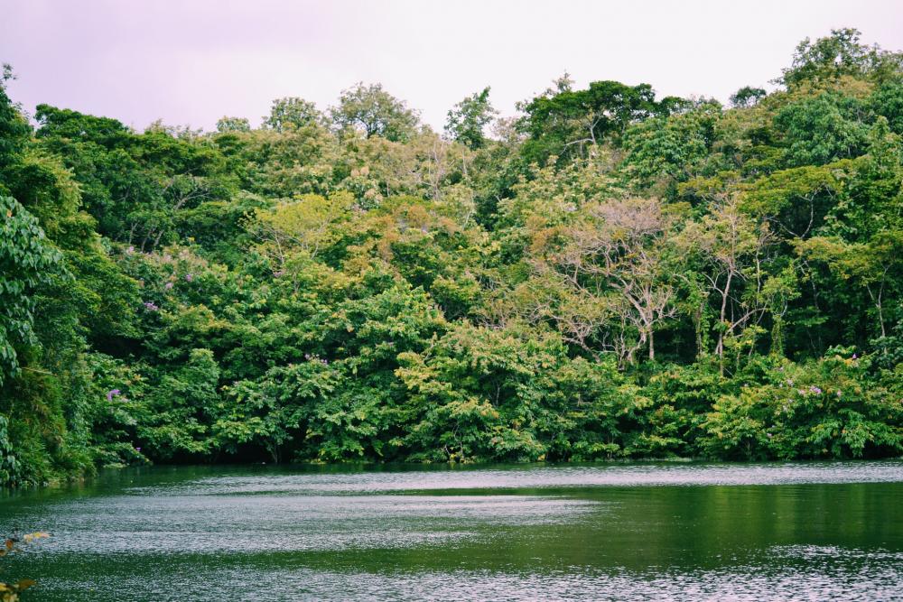 Salim Ali Bird Sanctuary (9).jpg